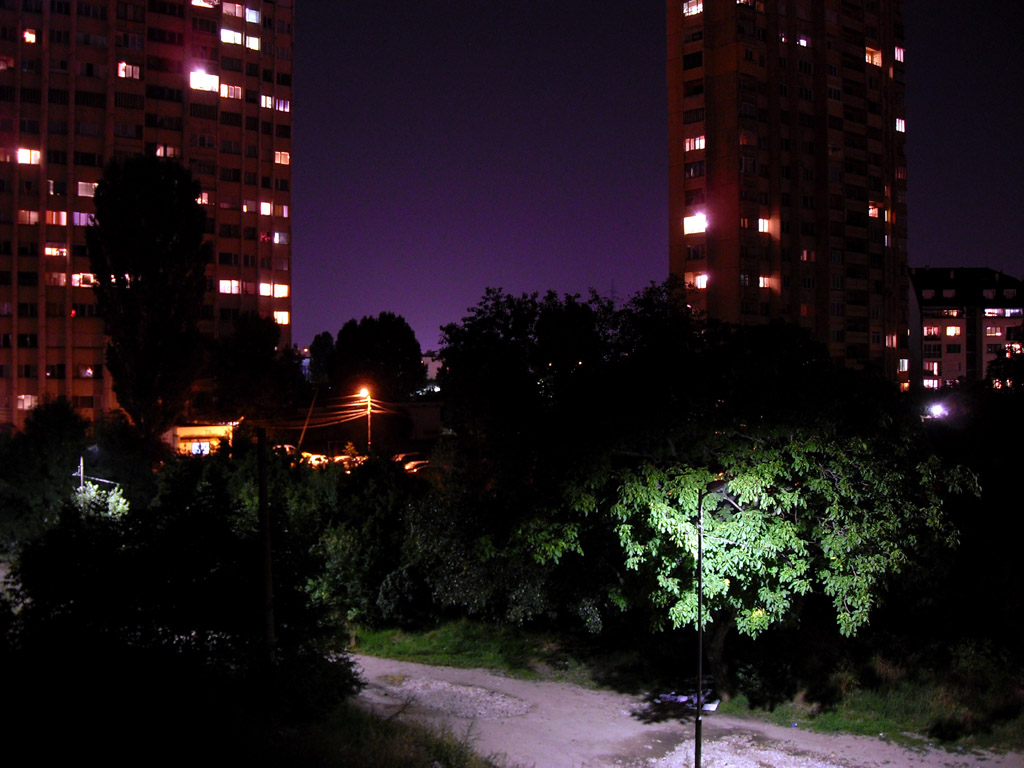 04.jpg